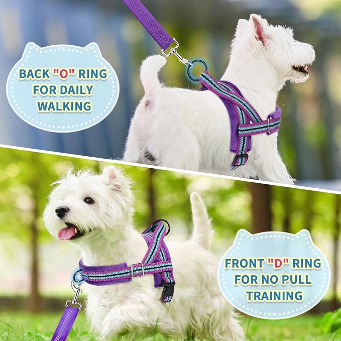 SlowTon No Pull Small Dog Harness and Leash Set, Puppy Soft Vest Harness Neck & Chest Adjustable, Reflective Lightweight Harness & Anti-Twist Pet Lead Combo for Small Medium Dogs (PU-Front Clip, XXS) SlowTon