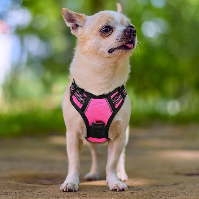 rabbitgoo Dog Harness No Pull with 2 Leash Clips, Adjustable Soft Padded, Reflective Oxford No Choke Pet Vest with Easy Control Handle for Puppy, Hot Pink, XS rabbitgoo