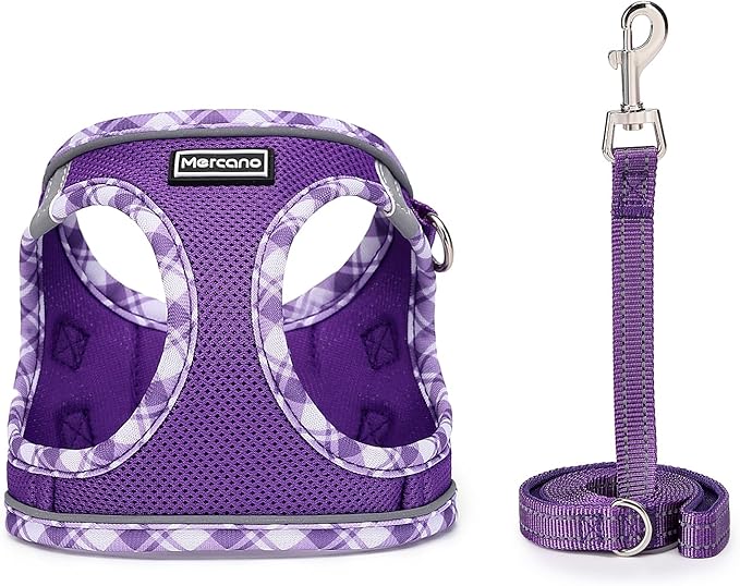 Mercano Soft Mesh Dog Harness and Leash Set, No-Chock Step-in Reflective Breathable Lightweight Easy Walk Vest Harnesses with Safety Buckle for Small Medium Dogs, Cats (L, Purple) PAWPICO