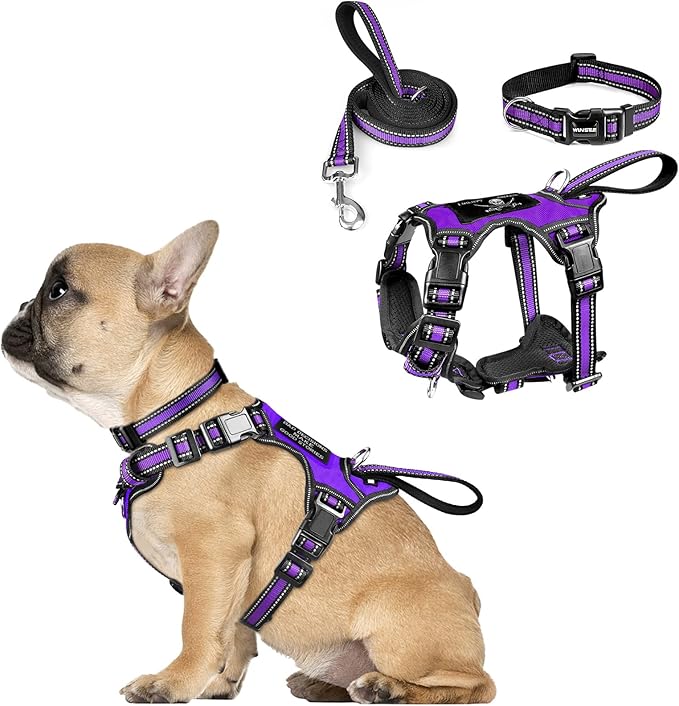 WINSEE Pet Harness Collar and Leash Set, All-in-one Reflective Dog Harness No Pull with Adjustable Buckles for Puppies, Small, Medium, Large, and Extra-Large Dogs (Small, Purple) WINSEE