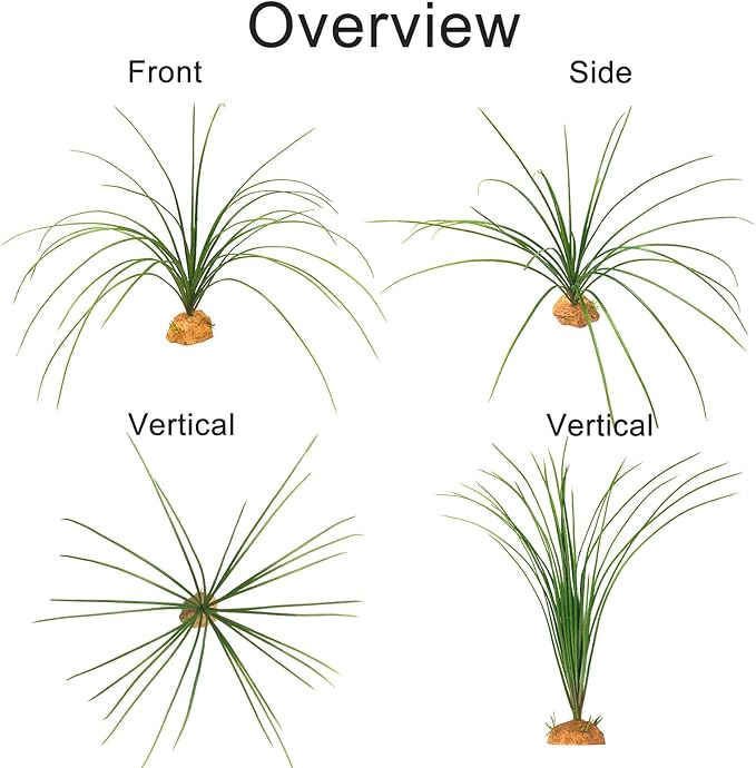 Woyrise Reptile Plants for Terrarium Decor, Amphibian Habitat Artificial Plants Bearded Dragon Tank Accessories fit Crested Gecko Leopard Lizard Chameleon Ball Python Snake Frog - Calamus Woyrise