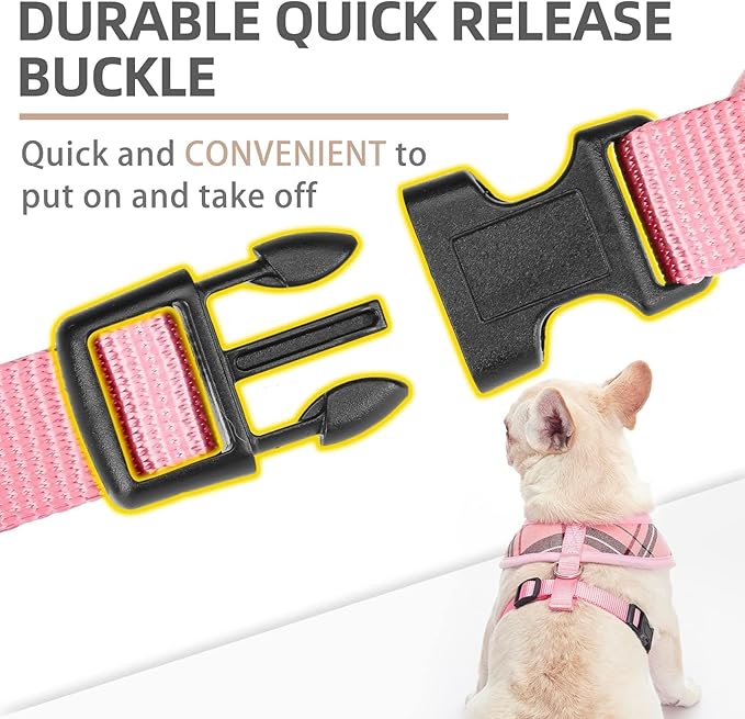 PUPTECK Soft Mesh Dog Harness and Leash Set Pet Puppy Cat Comfort Padded Vest No Pull Harnesses, Light Pink, S PUPTECK