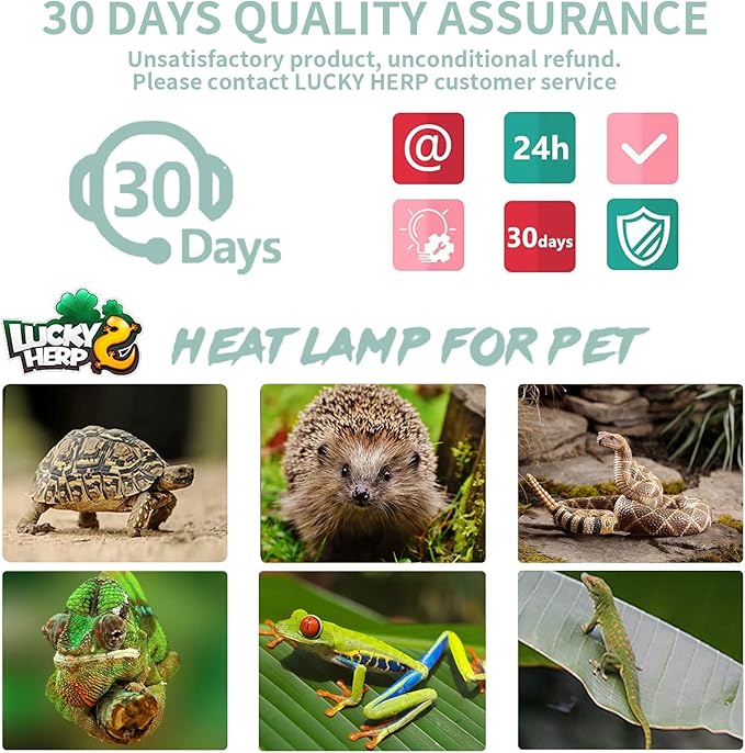 LUCKY HERP 4 Pack 50W UVA UVB Reptile Light Bulbs, Heat Lamp Bulbs for Reptiles and Amphibians, Basking Light Bulb for Turtle, Bearded Dragon, Lizard Heating Use LUCKYHERP