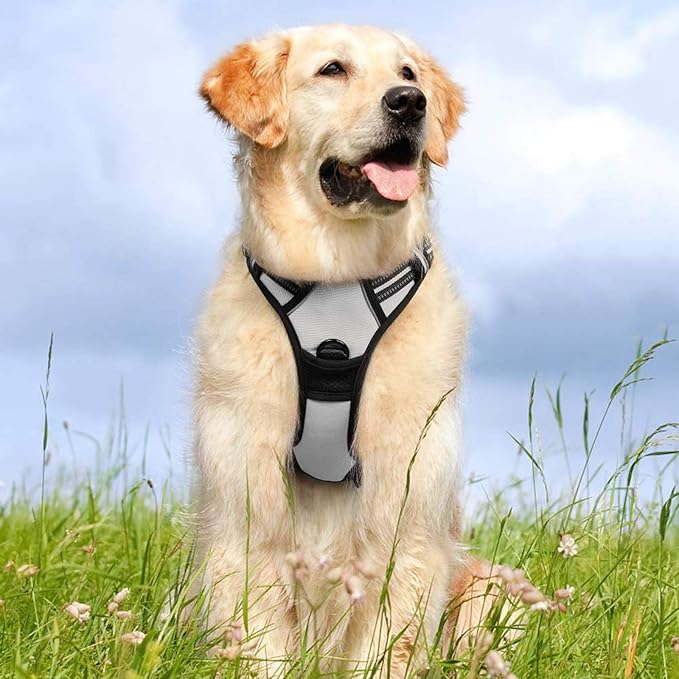 rabbitgoo Dog Harness No Pull with 2 Leash Clips, Adjustable Soft Padded, Reflective Oxford No Choke Pet Vest with Easy Control Handle for Medium Sized Dogs, Grey, M rabbitgoo