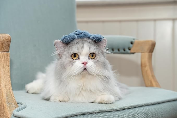 Interactive Catnip Cat Plush Toy, Ocean Theme, 5'', for All Breed Size Cats (Crab) - PAWPICO