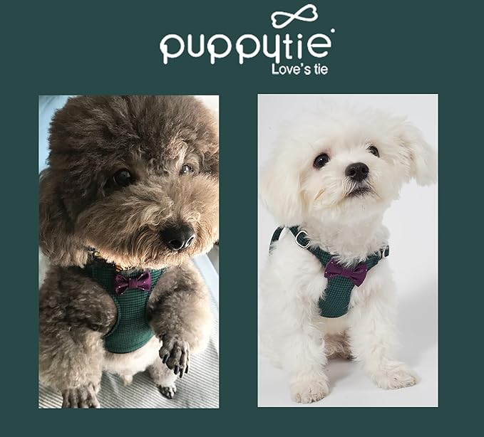 Puppytie No Pull xs Dog Harness with Multifunction Dog Leash,Soft Adjustable No Choke Escape Proof Pet Harness Vest,Glossy Dark Green,XXS Puppytie