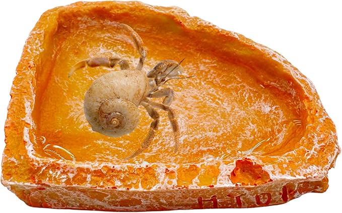 3 Pack Reptile Water Dish Food Bowl, Reptile Feeding Terrarium Bowls for Bearded Dragon Lizard Frog Gecko Tortoise Hermit Crab Snail (Orange) CATDABIR