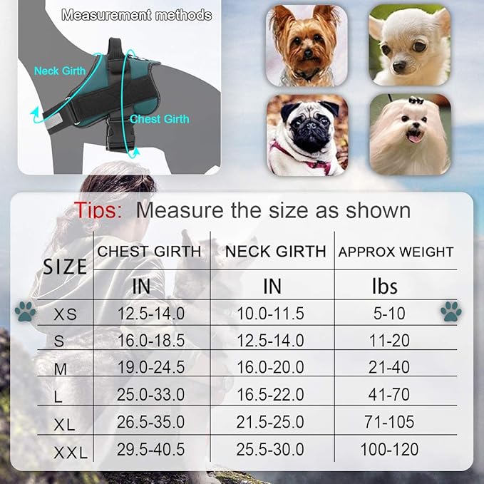 Bolux Dog Harness, No-Pull Reflective Dog Vest, Breathable Adjustable Pet Harness with Handle for Outdoor Walking - No More Pulling, Tugging or Choking (Turquoise, XS) Bolux
