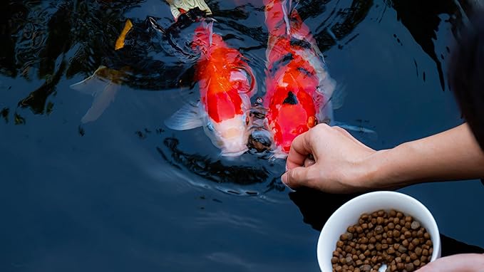 | Premium Floating Fish Food | Pond and Lake | Pellets | 2 Pounds FAMILY+FARM+AND+FEED