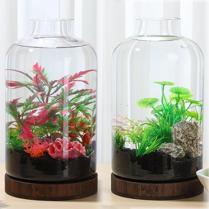 PONDON 1 Gallon Fish Bowl Vase, Featured Aquarium Kit Aquariums Channel, Wooden Base and Water Changer Included PONDON