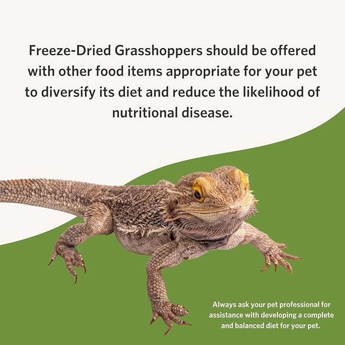 Fluker's Freeze Dried Grasshoppers, Nutrient-Packed, Ideal for Lizards, Reptiles, Birds, Fish, Hedgehogs, 1.7 oz Flukers