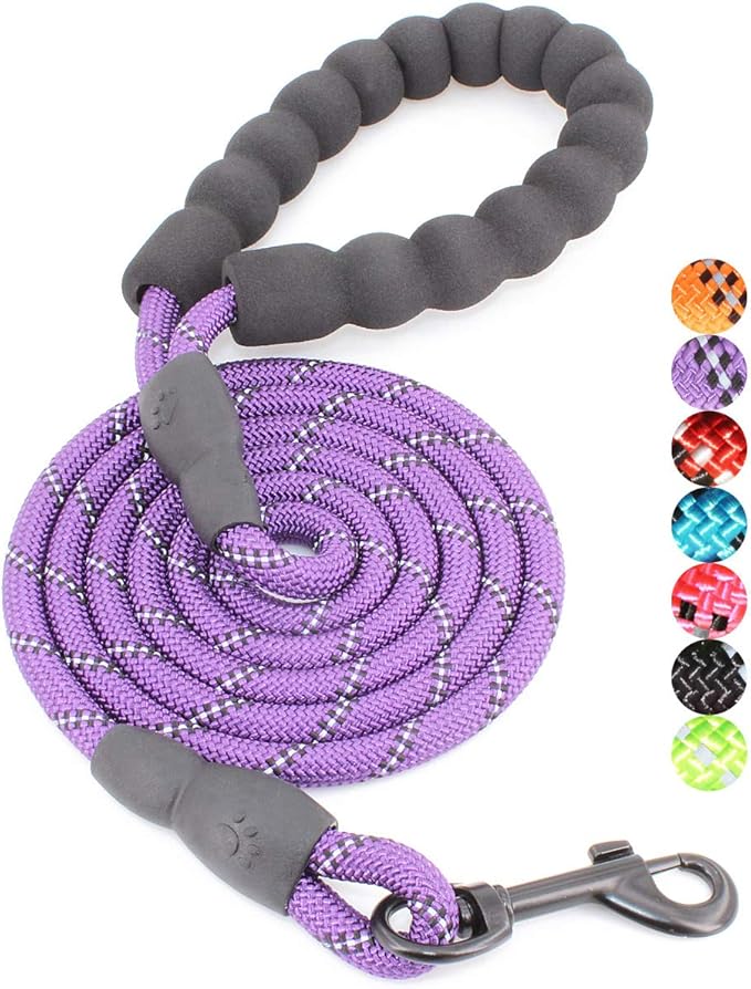 BAAPET 2/4/5/6 FT Dog Leash with Comfortable Padded Handle and Highly Reflective Threads for Small Medium and Large Dogs (5FT-1/3'', Purple) BAAPET