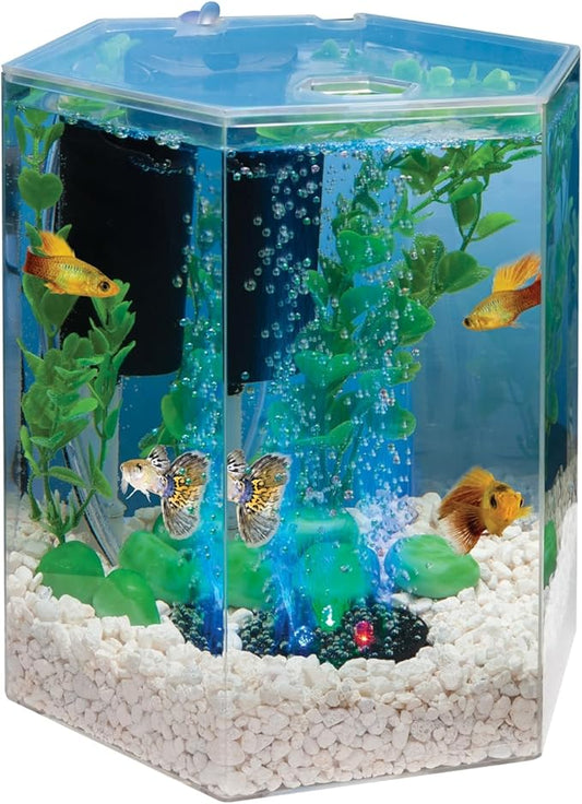 Tetra Bubbling LED Aquarium Kit 1 Gallon, Hexagon Shape, With Color-Changing Light Disc Tetra