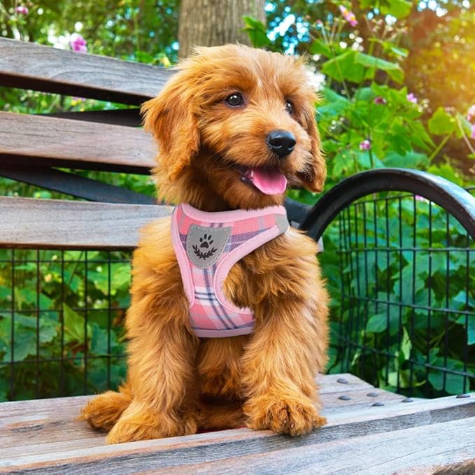 PUPTECK Adjustable Dog Harness Collar and Leash Set Step in No Pull Pet Harness for Small Medium Dogs Puppy and Cats Outdoor Walking Running, Soft Mesh Padded Reflective Vest Harnesses, Pink S PUPTECK