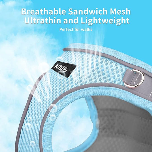 AIITLE Step in Dog Harness and Leash Set - Spring No Pull Escape Proof Vest Harnesses with Soft Mesh and Reflective Bands, Adjustable Pet Outdoor Harnesses for Small and Medium Dogs Pure Blue M AIITLE-FORPETSBETTERLIFE