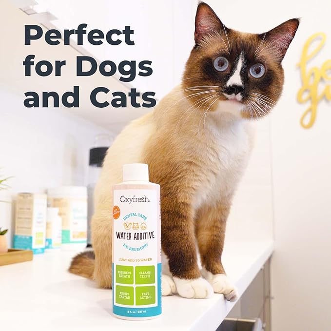 Oxyfresh Premium Pet Dental Care Solution Pet Water Additive: Best Way to Eliminate Bad Dog Breath and Cat Bad Breath - Fights Tartar & Plaque - So Easy, Just Add to Water! Vet Recommended 16 oz. Oxyfresh