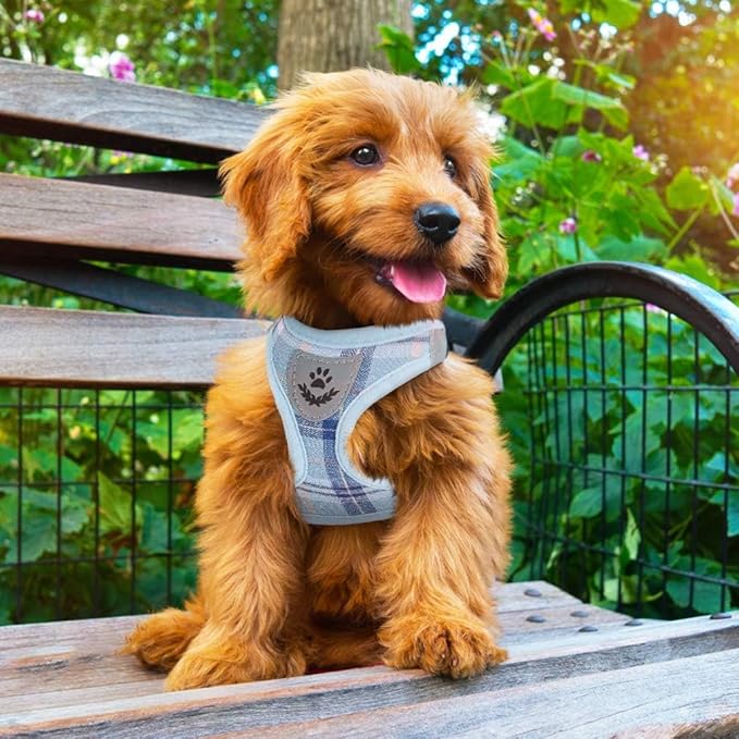 PUPTECK Adjustable Dog Harness Collar and Leash Set Step in No Pull Pet Harness for Small Medium Dogs Puppy and Cats Outdoor Walking Running, Soft Mesh Padded Reflective Vest Harnesses, Blue S PUPTECK