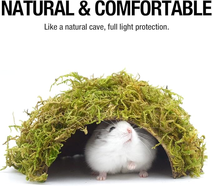 Hamster Hideaway,Hamster Hideout,Mossy Cave Hide,Hamster House/Hides,Hamster Cage Accessories for Gguinea Pig/Hedgehogs/Gliders/Rats/Mice and Other Small Animals (Large) SanmooAio