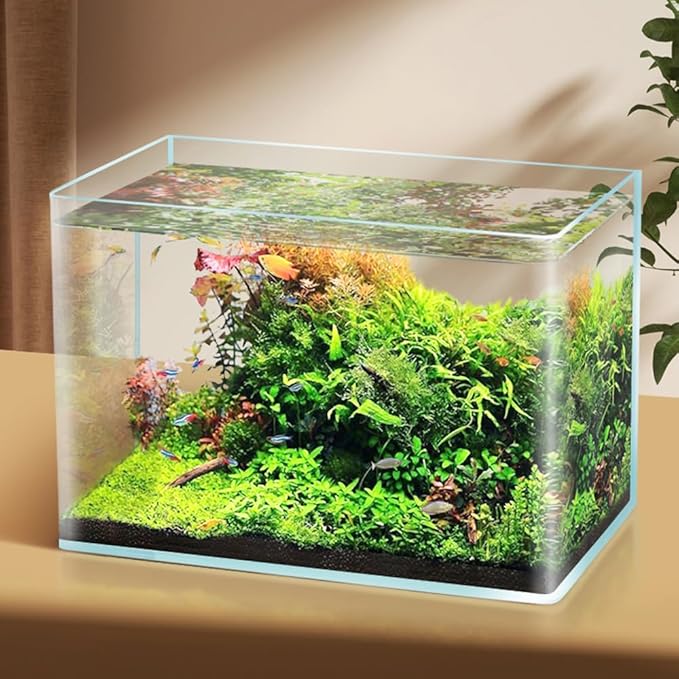 4 Gallon & 2 Gallon Small Fish Tank Rimless Aquarium Tank for Betta/Nano/Goldfish/Snail/Shrimp, Small Fish Tank (2Pack) ALALAL
