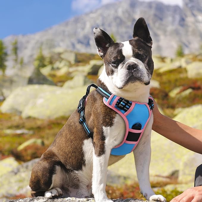 Eagloo Dog Harness for Large Dogs, No Pull Service Vest with Reflective Strips and Control Handle, Adjustable and Comfortable for Easy Walking, No Choke Harness with 2 Metal Rings, Pink & Blue, M GoExplorewithEagloo