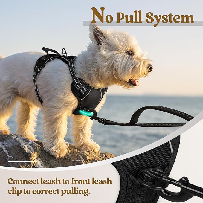 rabbitgoo Dog Harness No Pull with 2 Leash Clips, Adjustable Soft Padded, Reflective Oxford No Choke Pet Vest with Easy Control Handle for Puppy, Black, XS rabbitgoo