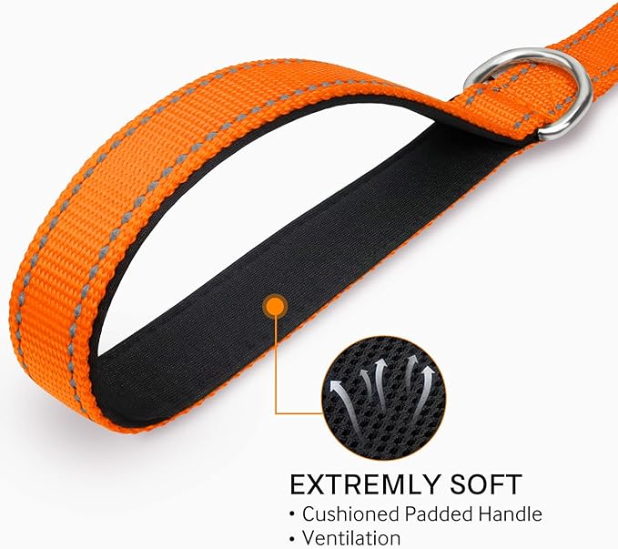 Joytale Double-Sided Reflective Dog Leash, 6 FT/5 FT/4 FT, Padded Handle Nylon Heavy Duty Leashes for Medium & Large Dogs Walking, Orange, 5FT Joytale