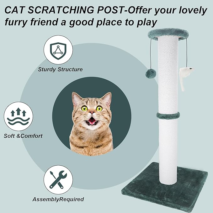 Cat Scratching Post 34 Inches Heavy Duty and Thicker Cat Scratching Post Sisal Rope with Hanging Ball and Mice Scratching Post for Indoor Cats and Adult(Green) - PAWPICO