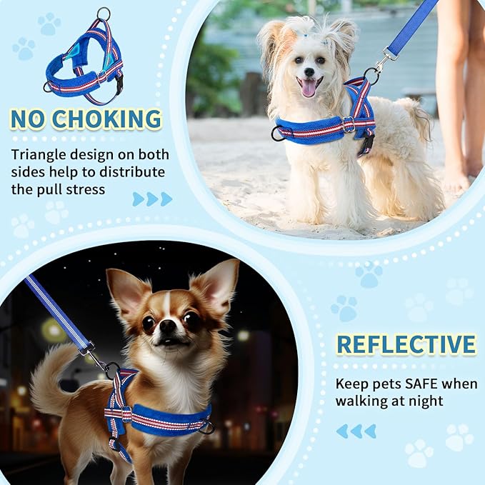 SlowTon No Pull Small Dog Harness and Leash Set, Puppy Soft Vest Harness Neck & Chest Adjustable, Reflective Lightweight Harness & Anti-Twist Pet Lead Combo for Small Medium Dogs (DB-Front Clip, XXS) SlowTon
