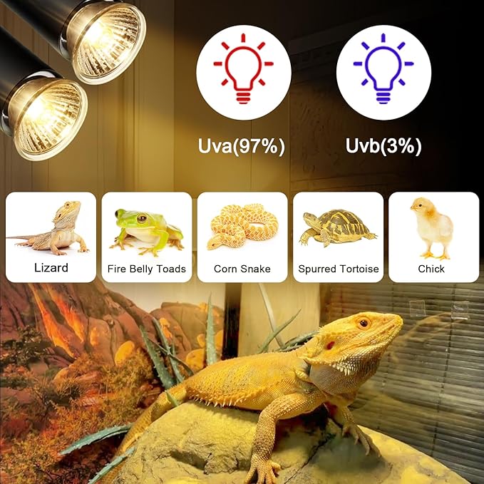 4-Pack 25W UVA UVB Bulbs, Fit E26 Heat Reptile Lamp, Light Turtle Heat Lamp for Reptiles and Amphibian Tanks, Terrariums and Cages, Works with Various Lamp Fixtures Lachesan