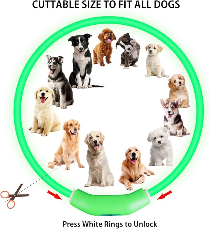2-Pack LED Dog Collar, Light Up Dog Collars,Rechargeable Dog Lights for Night Walking,Universal, Reusable Safety Necklace for Small Medium Large Dogs Green&Blue - PAWPICO
