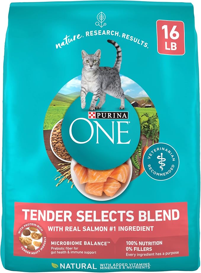 Purina ONE Natural Dry Cat Food, Tender Selects Blend With Real Salmon - 16 lb. Bag - PAWPICO