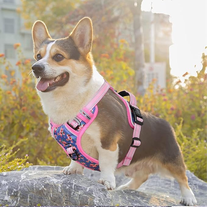 Timos No Pull Dog Harness,NO Need Go Over Dogs Head 3 Snap Buckles Reflective Oxford No Choke Harness with Front&Back 2 Metal Leash Clips Soft Padded for Small Medium Large Dogs,X-Large (Pack of 1) Timos