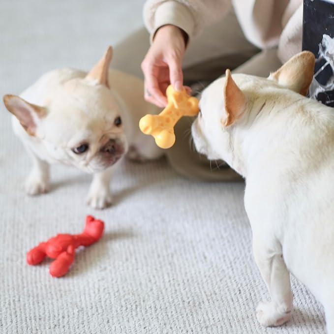 Nylabone Power Chew Lobster Dog Chew Toy, Cute Dog Toys for Aggressive Chewers, Filet Mignon Flavor, Small/Regular (1 Count) - PAWPICO