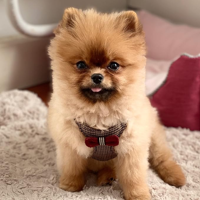 Puppytie No Pull xs Dog Harness with Multifunction Dog Leash,Soft Adjustable No Choke Escape Proof Pet Harness Vest,Knitted Brown,xs Puppytie