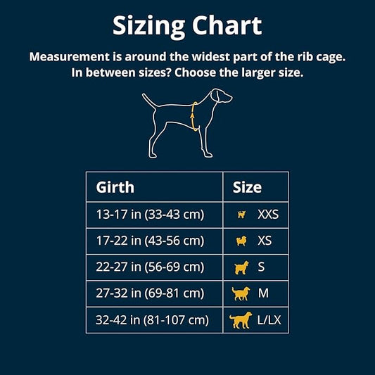 Ruffwear, Front Range Dog Harness, Reflective and Padded Harness for Training and Everyday, Purple Sage, Small RuffwearInc