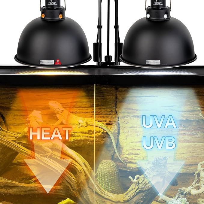 2 Pack Reptile Light Fixture, 8.5in Deep Dome Reptile Lamp Fixture, Optical Reflection Cover, Separate Switche & Hook, Terrarium Light Fixture for Reptile Heat Basking UVB Bulbs, 150W, Black CAVACHEWReptileSupplies