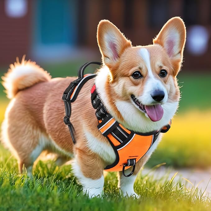 Timos Dog Harness Small Sized, No Pull Dog Harness with Neck Lockable Snap,No Choke Front Clip Dog Reflective Harness,Adjustable Metal Rings 3 Buckles,Easy Control Handle for Small Dogs Orange S Timos