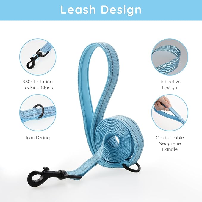 BELLA & PAL Puppy Harness with Leash Set, Dog Harness for Small Dogs No Pull, Dog Leash for Small Dogs, Step in Harness for Extra Small Dogs, Blue Harness, XXS BELLAPAL