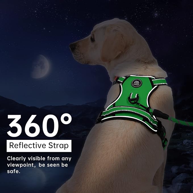 IVY&LANE No Pull Dog Harness for Medium Dogs, Dog Vest Harness with Leash, Safety Belt and Storage Strap, Fully Adjustable Harness, 360° Reflective Strip, Soft Handle (Green,M) IVYLANE