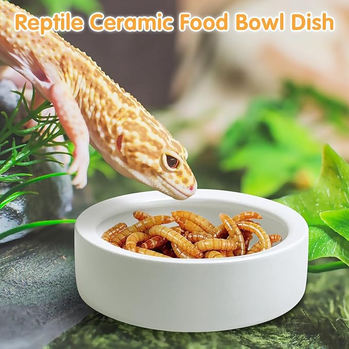 Tfwadmx 2 Pack Reptile Food Bowl, Ceramic Water Feeder Bowl, Reptile Worm Feeding Dish for Lizard Turtle Bearded Dragon Anoles Crested Gecko Hermit Crab Leopard Gecko Chameleon Corn Snake Tfwadmx