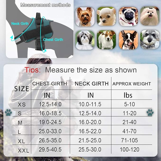 Bolux Dog Harness, No-Pull Reflective Dog Vest, Breathable Adjustable Pet Harness with Handle for Outdoor Walking - No More Pulling, Tugging or Choking (Turquoise, S) Bolux