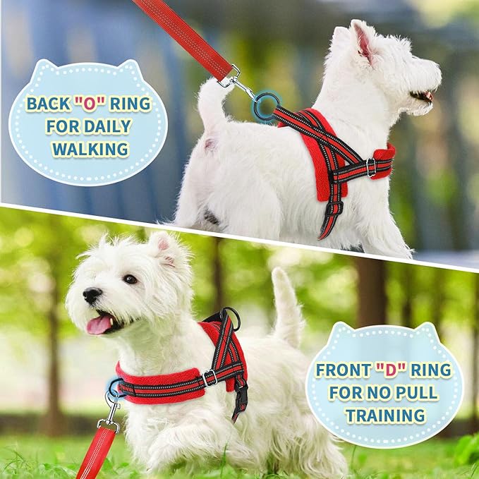 SlowTon No Pull Small Dog Harness and Leash Set, Puppy Soft Vest Harness Neck & Chest Adjustable, Reflective Lightweight Harness & Anti-Twist Pet Lead Combo for Small Medium Dogs (R-Front Clip,XS) SlowTon