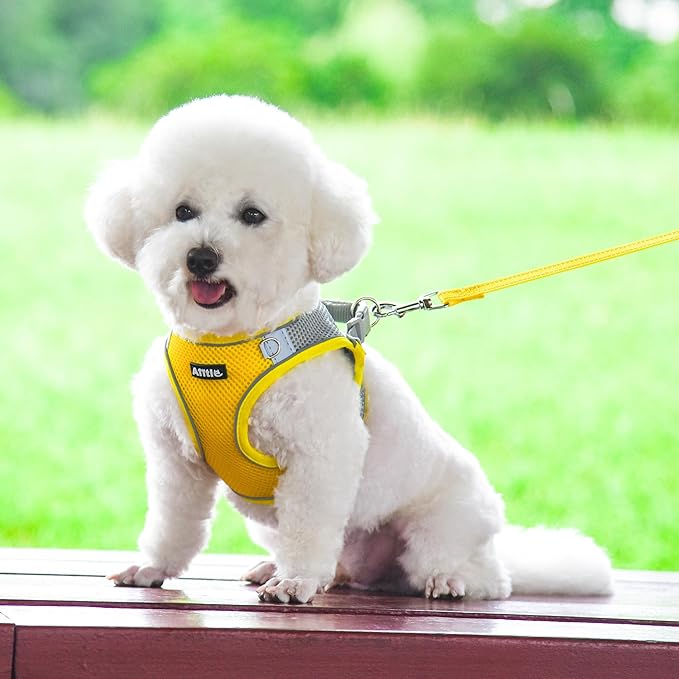 AIITLE Small Harness for Puppy with A Leash - Spring Dog Vest Harness with Super Breathable Mesh, Reflective No-Pull Pet Harness for Outdoor Walking, Camping for Small Dogs, Cats Yellow XXS AIITLE-FORPETSBETTERLIFE