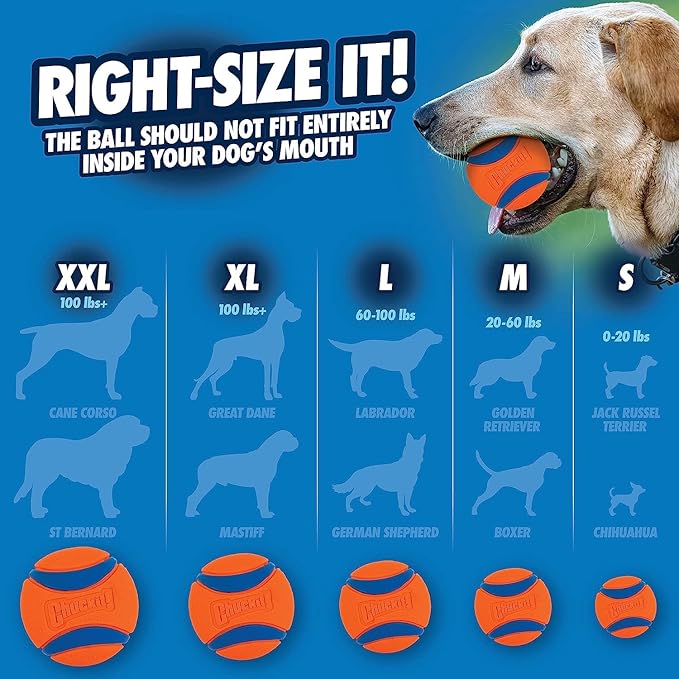 Chuckit! Ultra Tug Dog Toy, Small Fetch and Dog Ball Tug Toy for Dogs 0-20 Pounds - PAWPICO