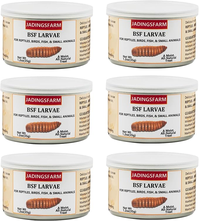 6 Pack Canned Black Soldier Fly Larvae for Reptiles, Fish, Birds and Small Animals, BSF, Healthy High Protein Treat, Reptile Bird Fish Food 1.2 Ounces Each Jadingfarm