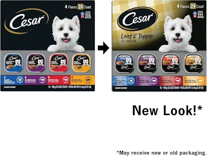 CESAR Adult Wet Dog Food Loaf in Sauce Rotisserie Chicken, Filet Mignon, Angus Beef, and Ham & Egg Flavors Variety Pack, 3.5 oz. Easy Peel Trays, Pack of 24 - PAWPICO