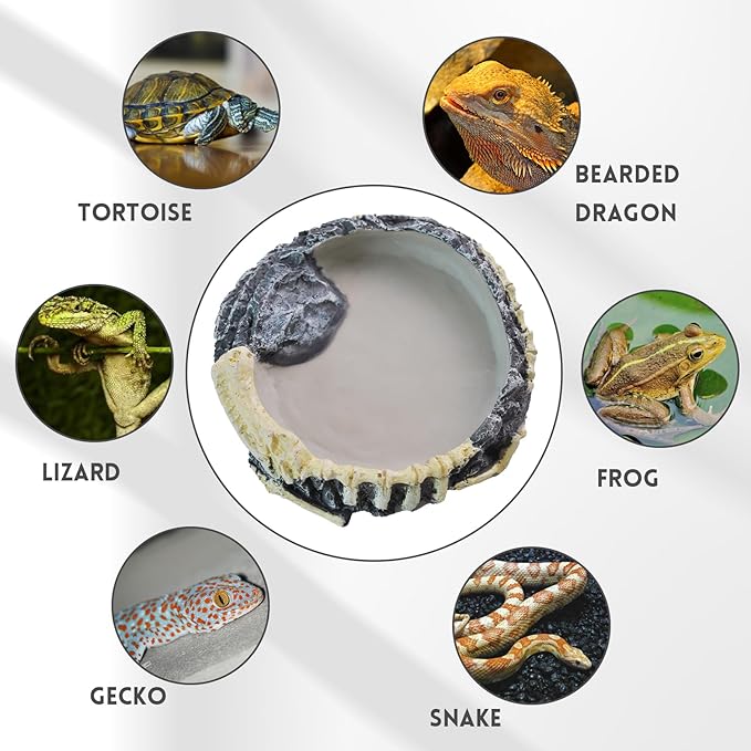 Reptile Food Water Bowl Resin Rock Reptile Feeding Dish Tortoise Feeder Food and Water Plate Amphibian Drinking Basin Reptile Habitat Tank Accessories for Turtle Lizard Leopard Gecko Chameleon MUYG