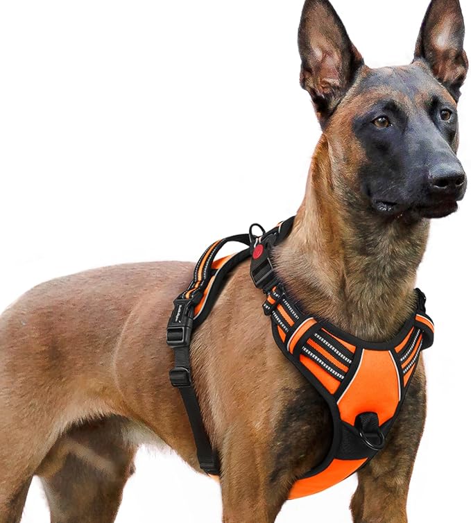 rabbitgoo Dog Harness for Large, No Pull Pet Harness with 3 Buckles, Adjustable Soft Padded Pooch Vest with Instant Control Handle, Easy Walking Reflective Pet Vest for Extra Large Dogs, Orange, XL rabbitgoo
