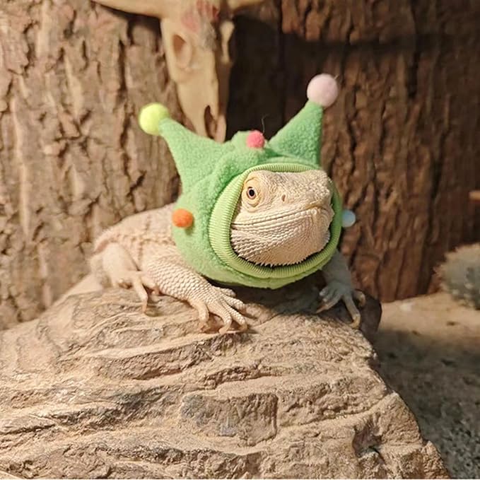 Bearded Dragon Hat - Winter Warm Lizard Cap with Horns & Pom Pom Ball Fun Halloween Outfit Bull Costume Elastic Headwear Accessories Anxiety Relief Ear Muffs for Reptile Fancy Rat Ferret (3 Pack) SEZDEKI