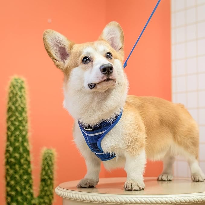 SCENEREAL Puppy Dog Harness with Leash Set for Small Medium Sized Dogs, Soft Mesh Step in Pet Harnesses and Leash, No Chock Plaid Adjustible No Pull Vest for Dogs Cats, Chihuahua,Bulldog (Blue XS) SCENEREAL